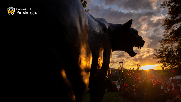 Seasonal Zoom4 Background - Panther Sunset