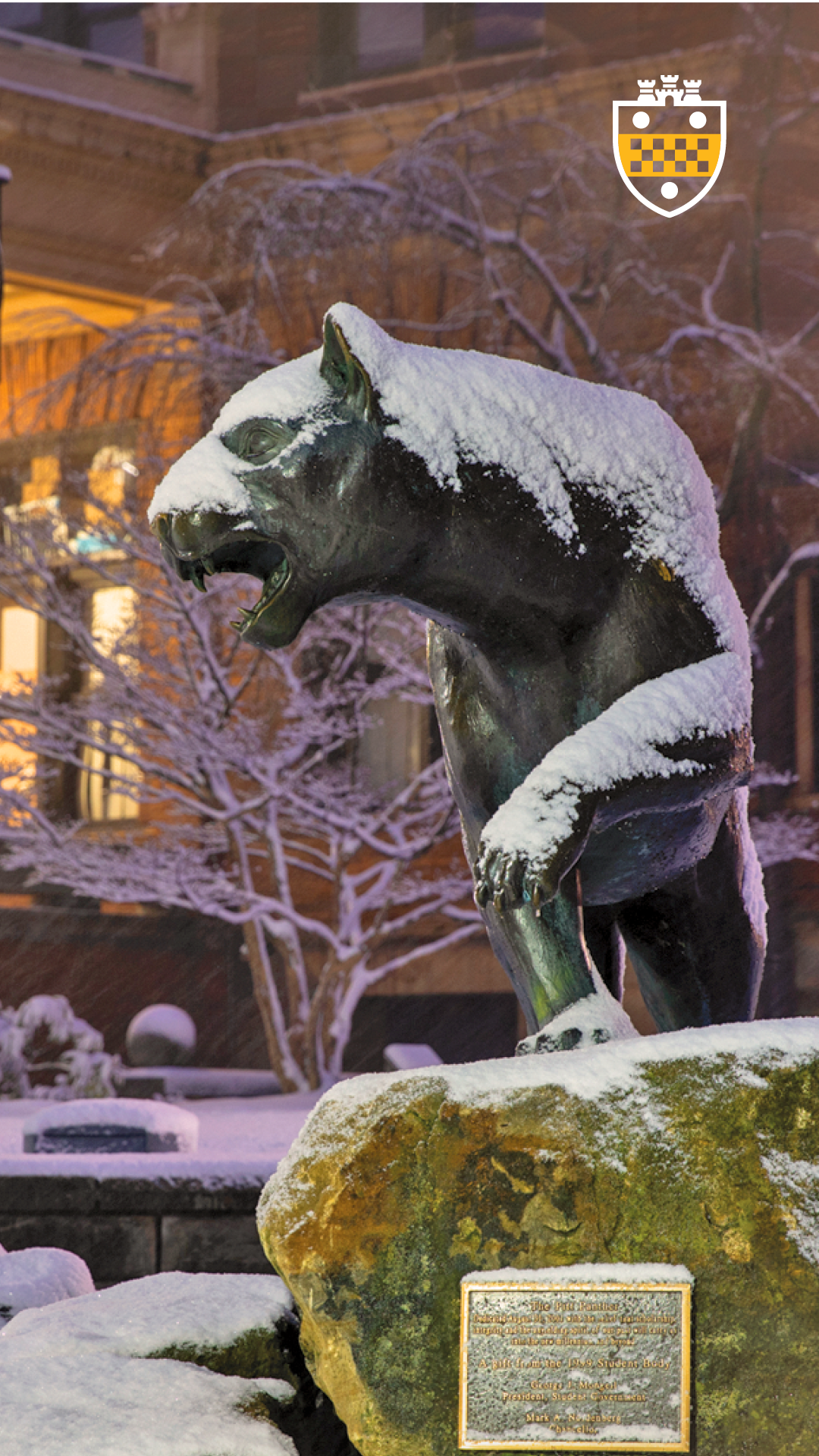 Snow on Panther Statue