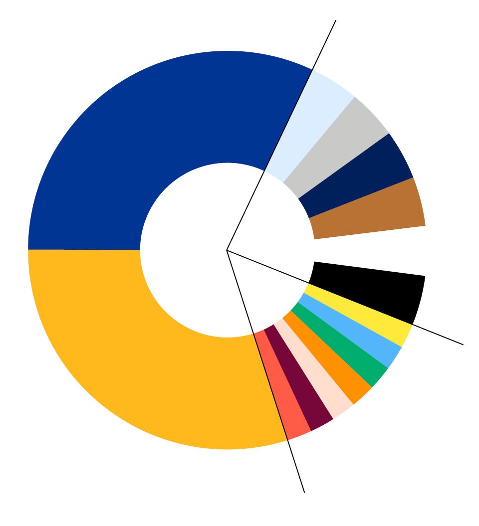 Color palette hierarchy