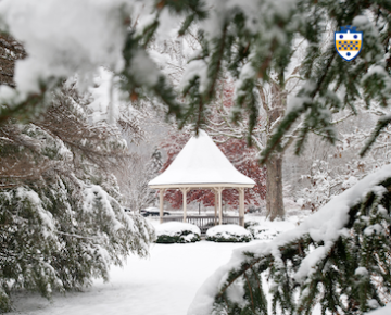 Snowy Gazebo