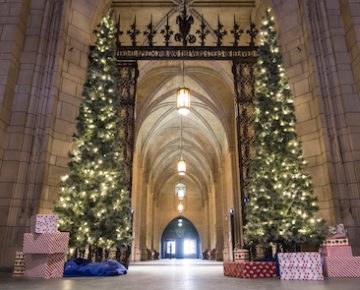decorated trees and presents