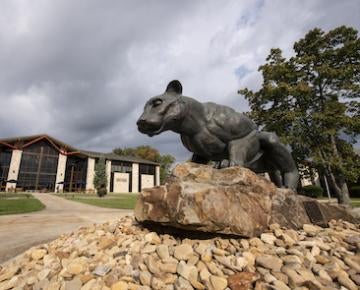 Mountain Cat statue