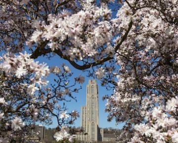 Cathedral of Learning