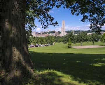 Flagstaff hill