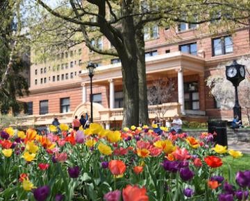 William Pitt Union
