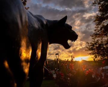panther statue