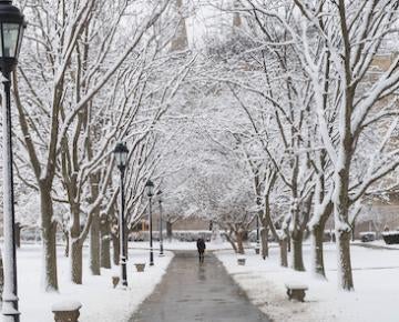 snowy walkway